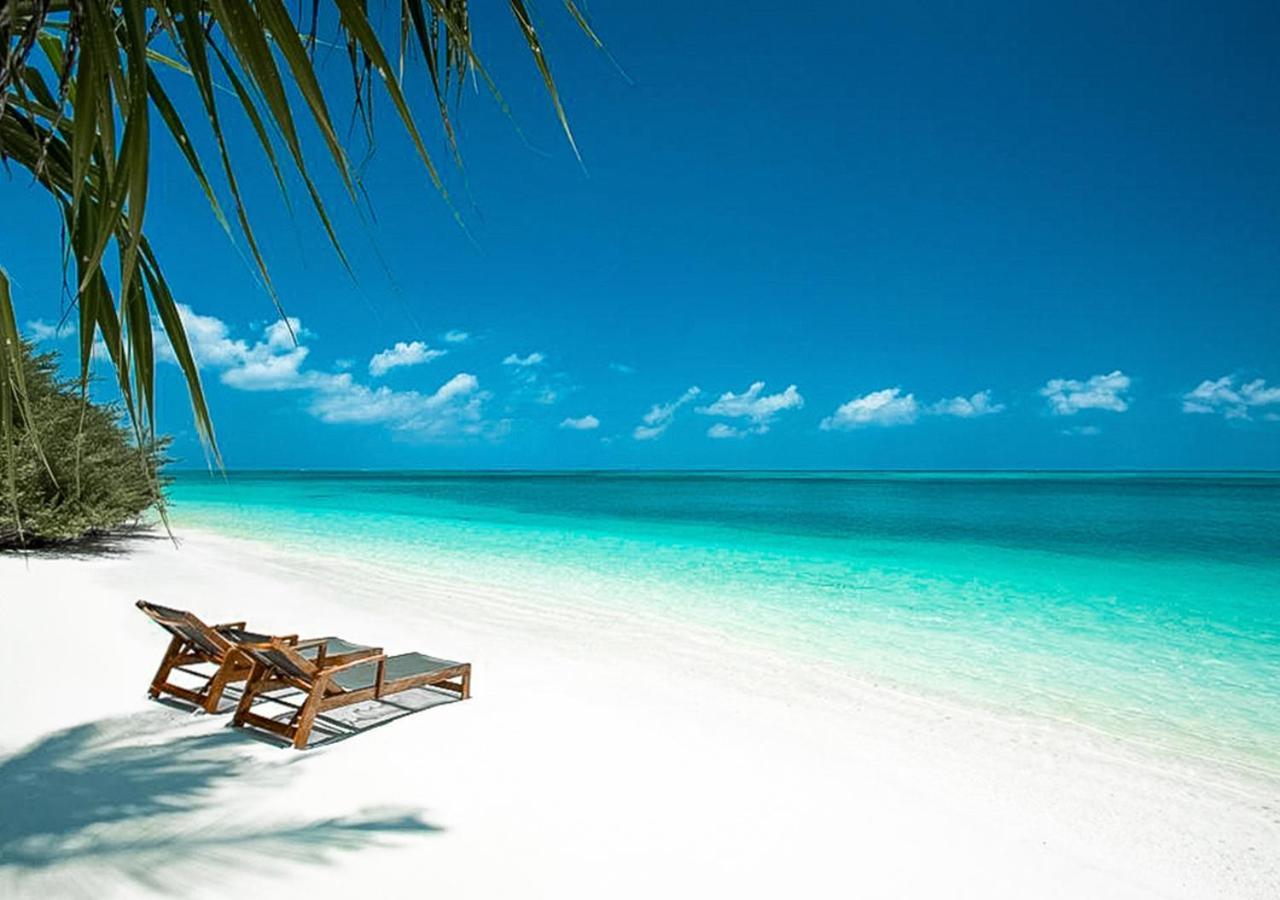 فندق Tropical Tree Fehendhoo المظهر الخارجي الصورة