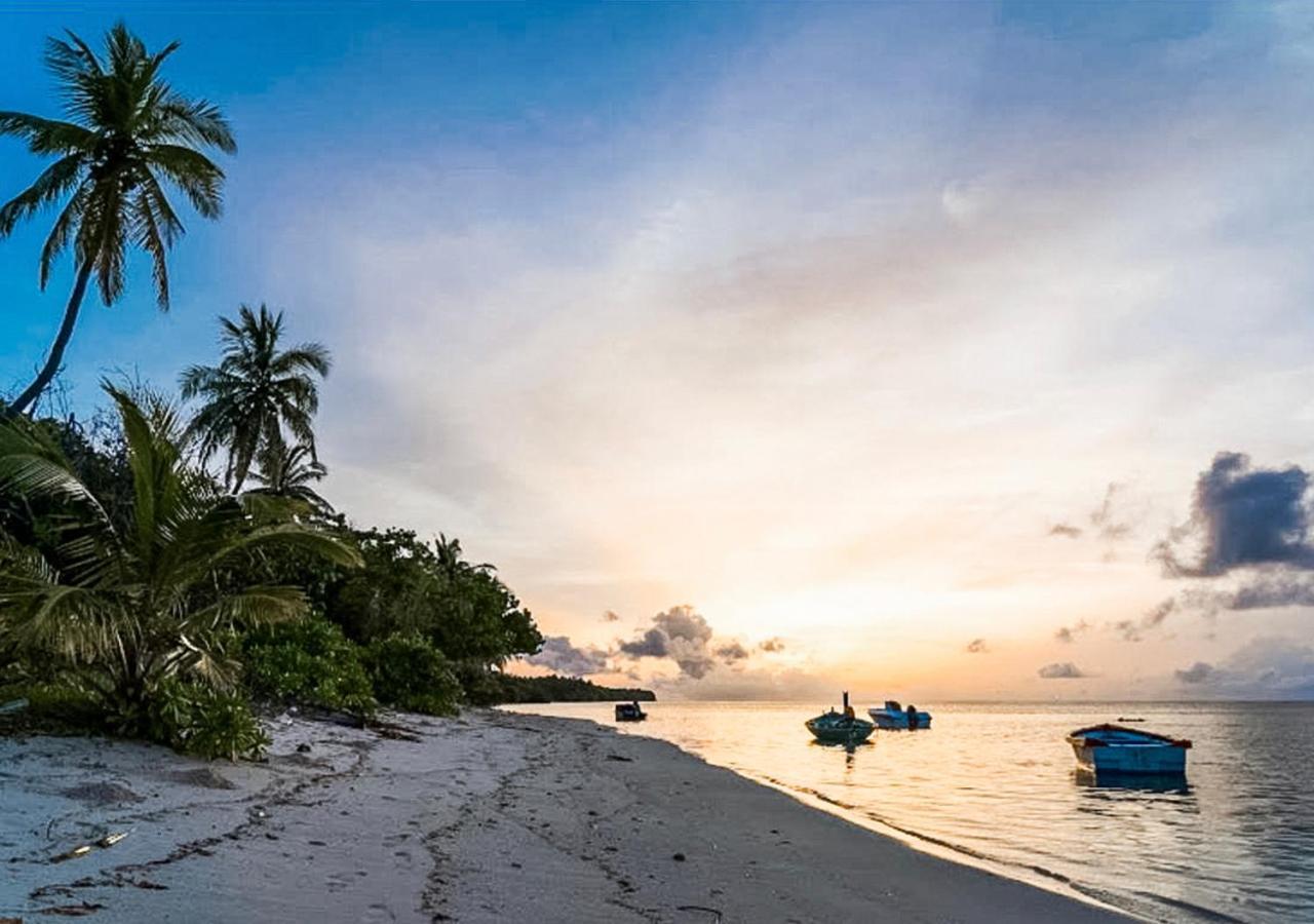 فندق Tropical Tree Fehendhoo المظهر الخارجي الصورة