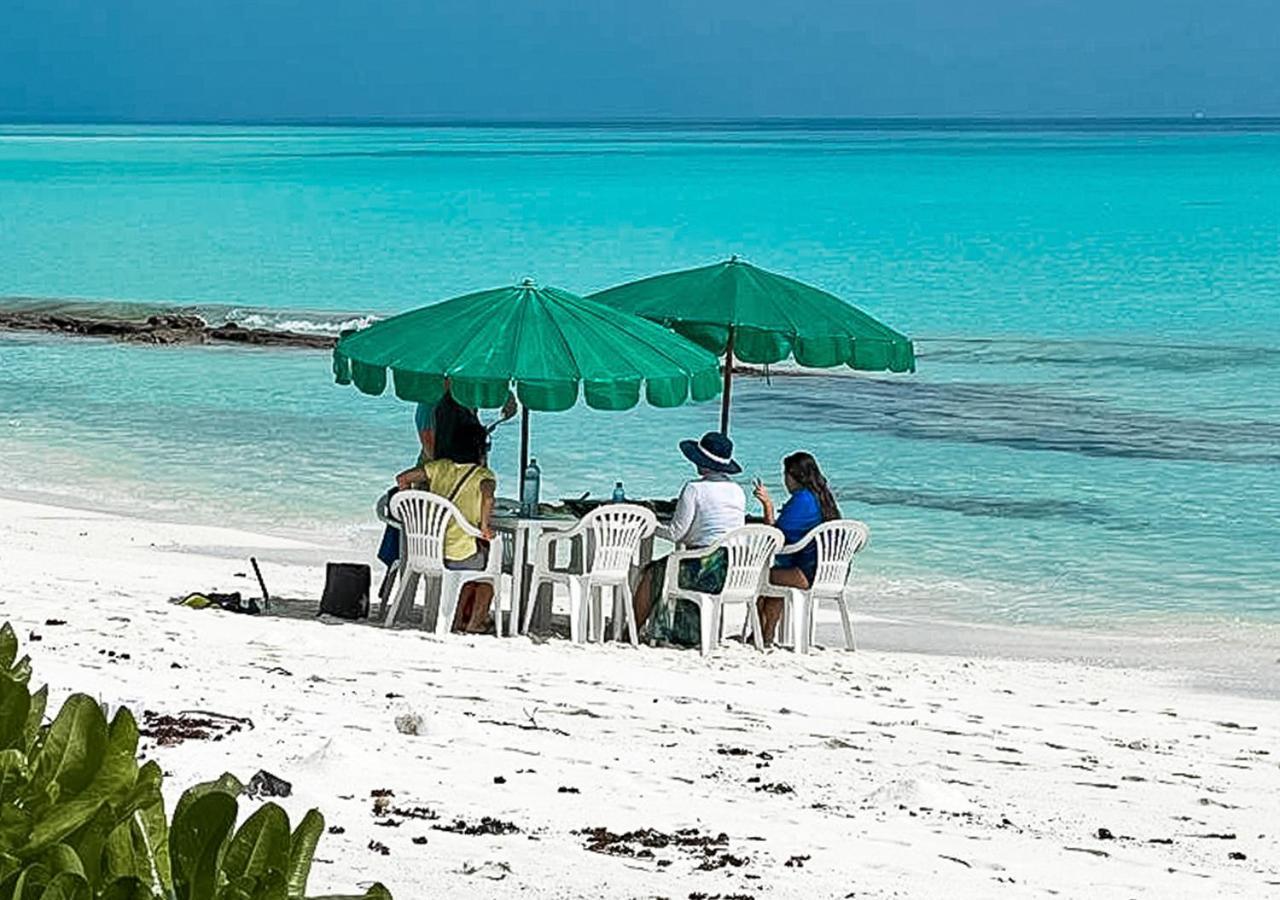 فندق Tropical Tree Fehendhoo المظهر الخارجي الصورة