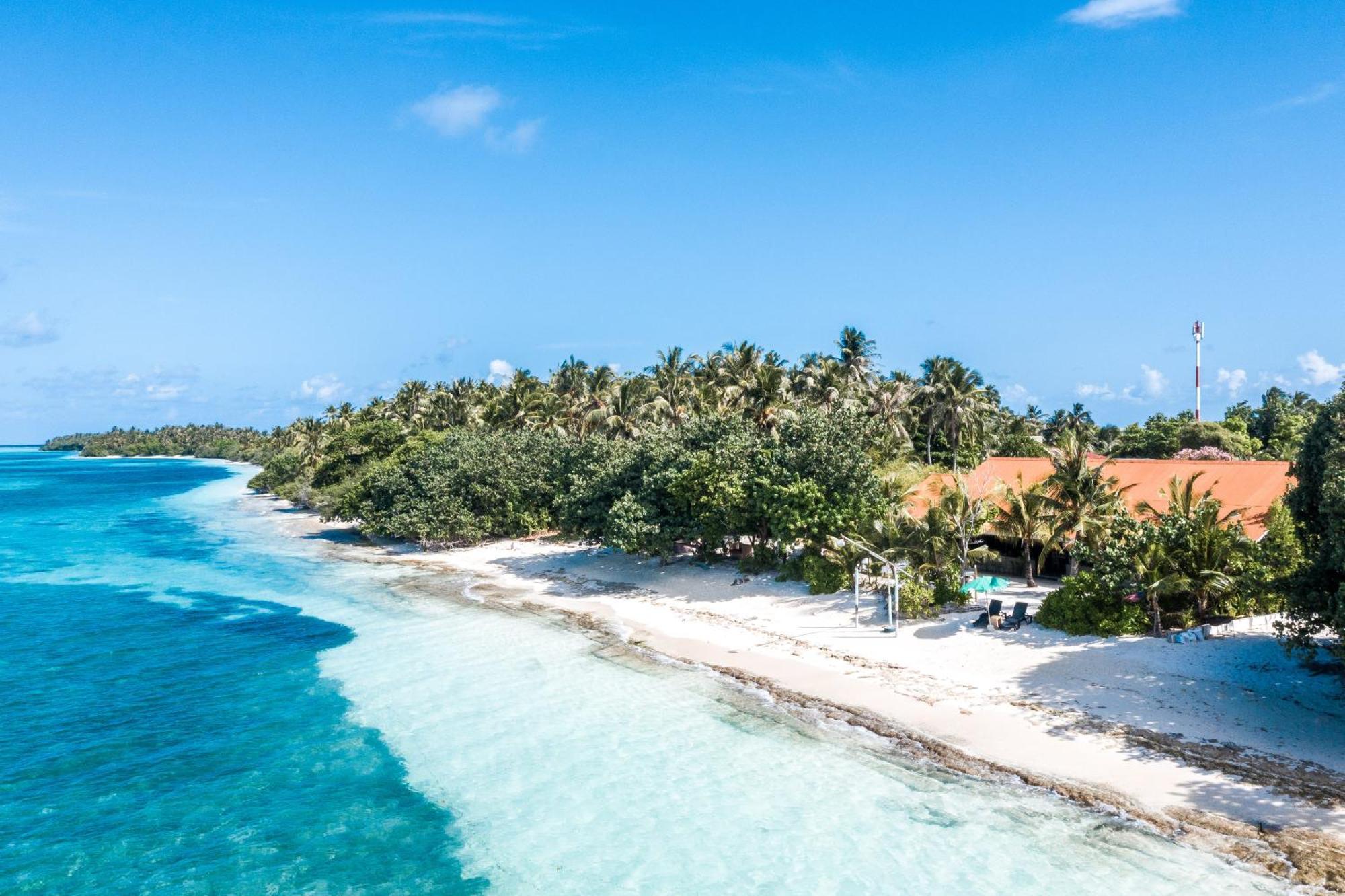 فندق Tropical Tree Fehendhoo المظهر الخارجي الصورة