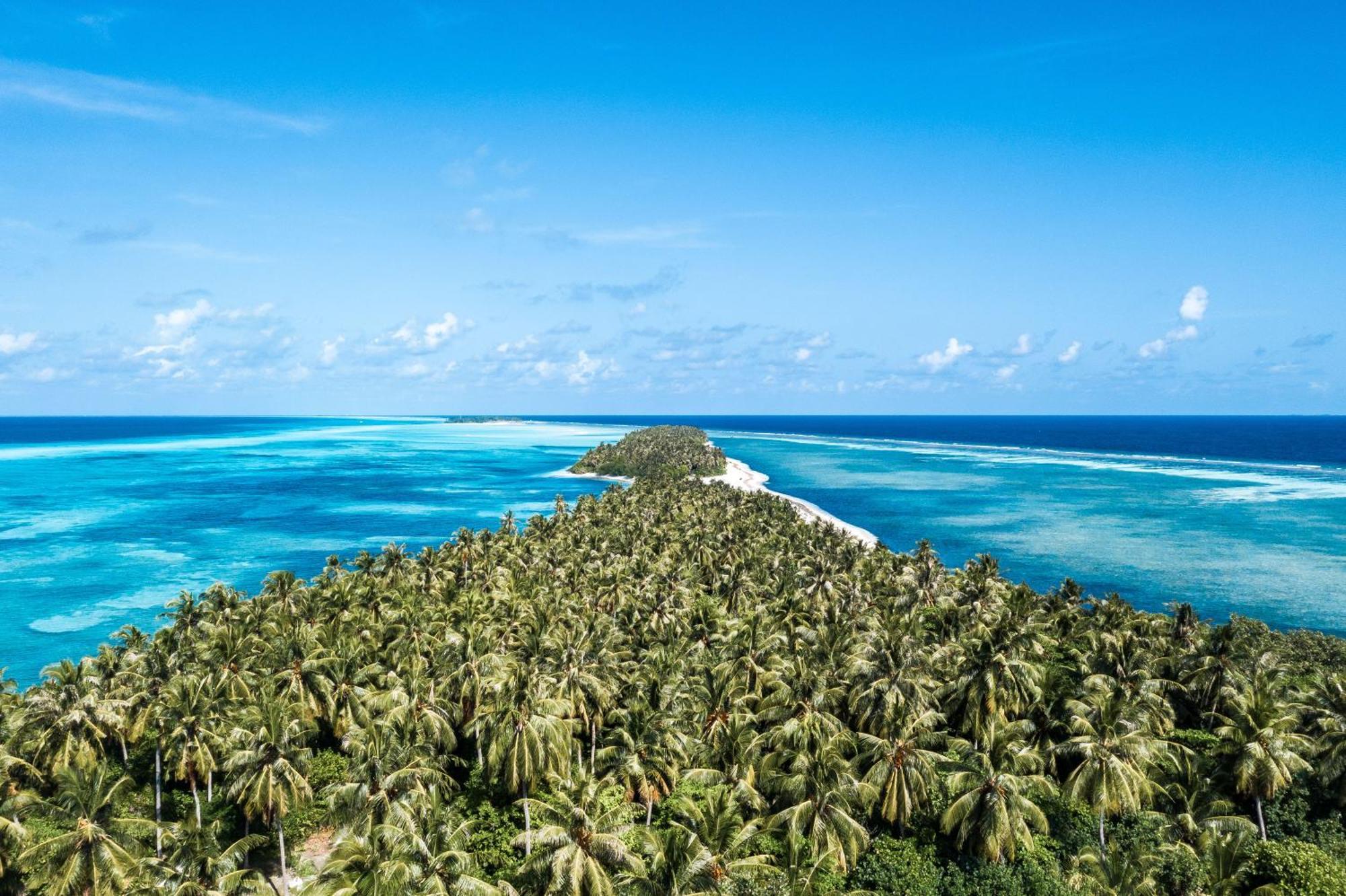 فندق Tropical Tree Fehendhoo المظهر الخارجي الصورة