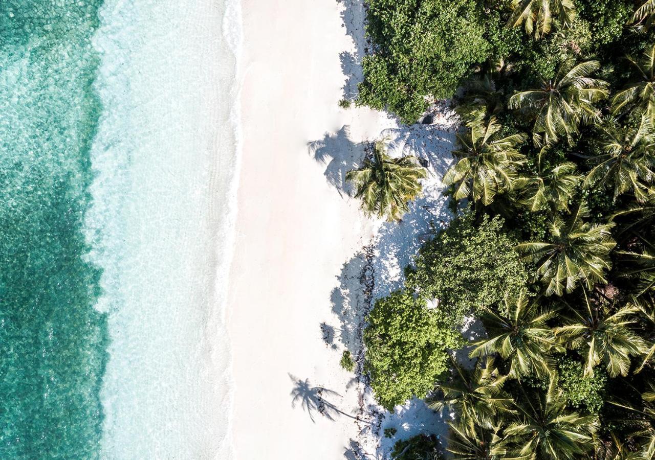 فندق Tropical Tree Fehendhoo المظهر الخارجي الصورة
