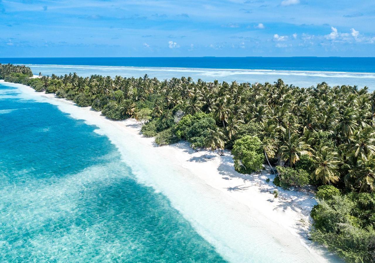 فندق Tropical Tree Fehendhoo المظهر الخارجي الصورة